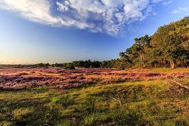 Veluwe